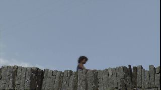 Link to Video