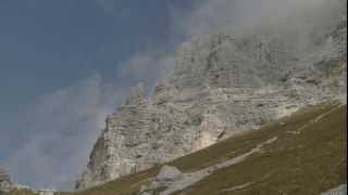 Link to Video