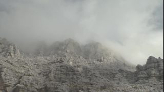 Link to Video