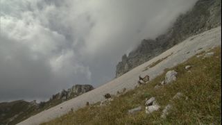 Link to Video
