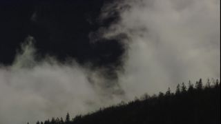 Link to Video