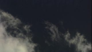 Link to Video