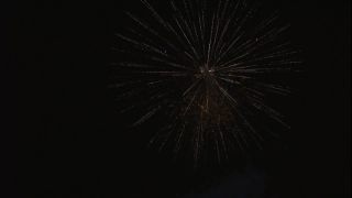 Link to Video