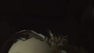 Link to Video