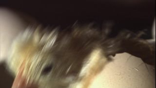 Link to Video