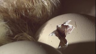 Link to Video