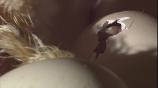 Link to Video