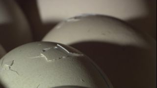 Link to Video