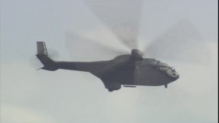 Link to Video