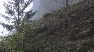 Link to Video
