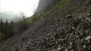 Link to Video