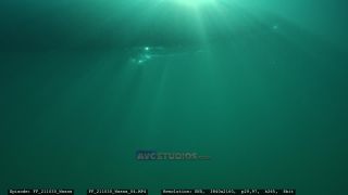 Link to Video | Slovenia