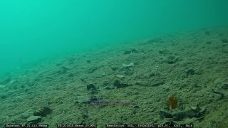 Link to Video | Slovenia