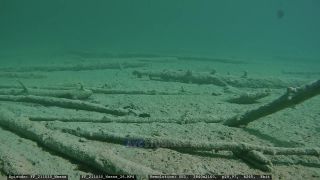 Link to Video | Slovenia