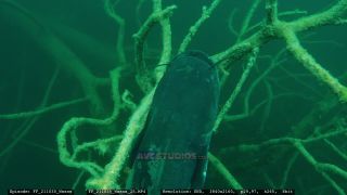 Link to Video | Slovenia