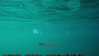 Link to Video | Adriatic Sea, Croatia