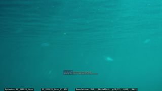 Link to Video | Adriatic Sea, Croatia