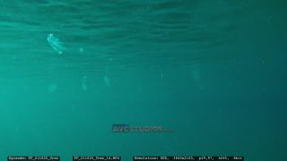 Link to Video | Adriatic Sea, Croatia