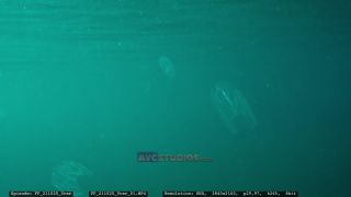 Link to Video | Adriatic Sea, Croatia