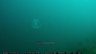 Link to Video | Adriatic Sea, Croatia