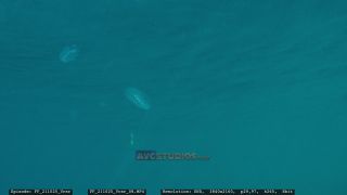 Link to Video | Adriatic Sea, Croatia