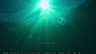 Link to Video | Adriatic Sea, Croatia