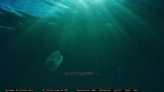 Link to Video | Adriatic Sea, Croatia