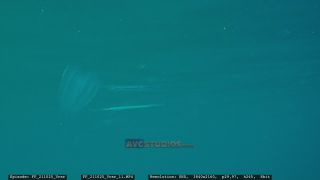 Link to Video | Adriatic Sea, Croatia