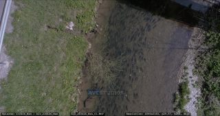 Link to Video