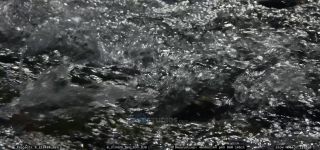 Link to Video