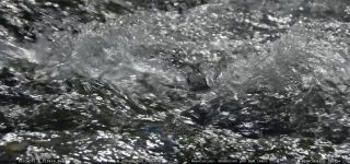 Link to Video
