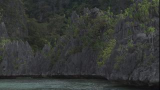 Link to Video | 2008, Philippines