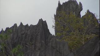 Link to Video | 2008, Philippines