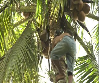 Link to Video | 2008, Philippines