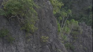 Link to Video | 2008, Philippines