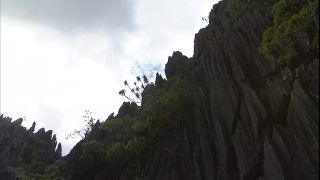 Link to Video | 2008, Philippines