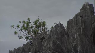 Link to Video | 2008, Philippines
