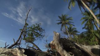 Link to Video | 2008, Philippines