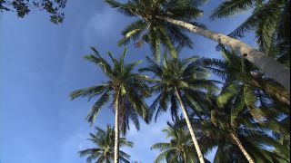 Link to Video | 2008, Philippines