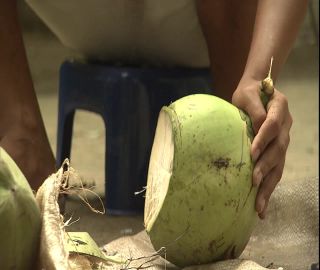 Link to Video | 2008, Philippines