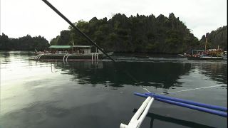 Link to Video | 2008, Philippines