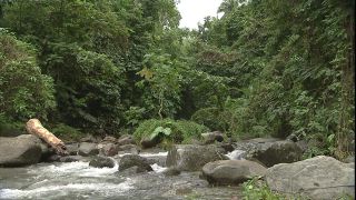 Link to Video | 2008, Philippines