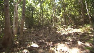 Link to Video | 2008, Philippines