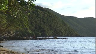 Link to Video | 2008, Philippines