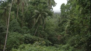 Link to Video | 2008, Philippines