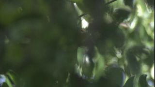 Link zum Video | 2008, Philippinen