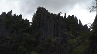 Link to Video | 2008, Philippines
