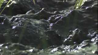 Link to Video | 2008, Philippines