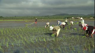 Link zum Video | 2008, Philippinen