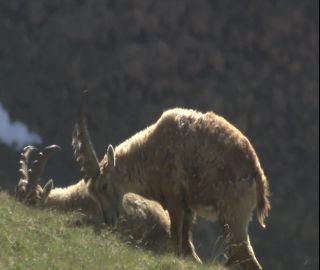 Link to Video | 2008, Philippines